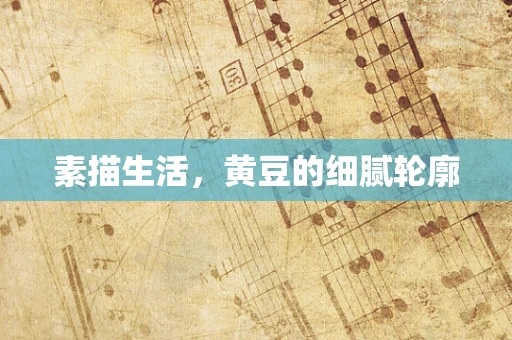 素描生活，黄豆的细腻轮廓