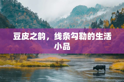 豆皮之韵，线条勾勒的生活小品