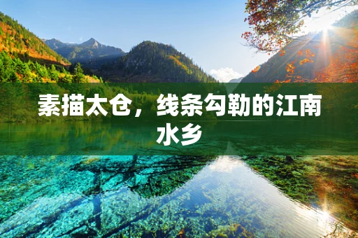 素描太仓，线条勾勒的江南水乡