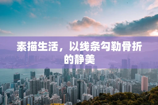 素描生活，以线条勾勒骨折的静美