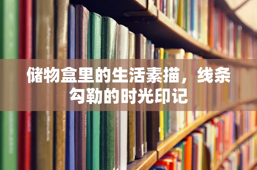 储物盒里的生活素描，线条勾勒的时光印记