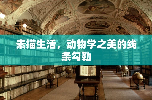 素描生活，动物学之美的线条勾勒