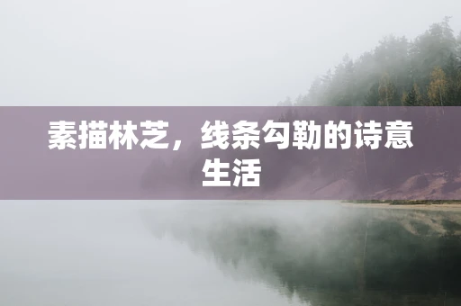 素描林芝，线条勾勒的诗意生活