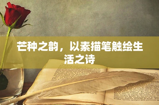 芒种之韵，以素描笔触绘生活之诗