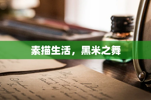 素描生活，黑米之舞