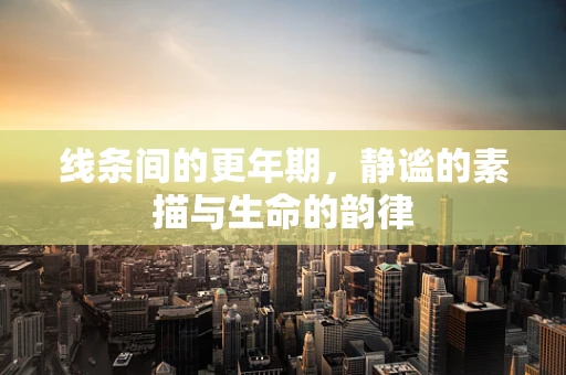 线条间的更年期，静谧的素描与生命的韵律