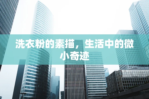 洗衣粉的素描，生活中的微小奇迹