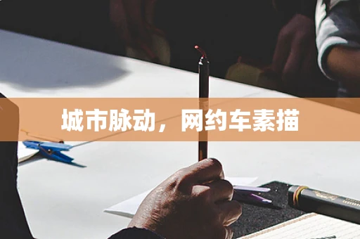 城市脉动，网约车素描
