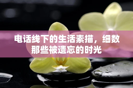 电话线下的生活素描，细数那些被遗忘的时光