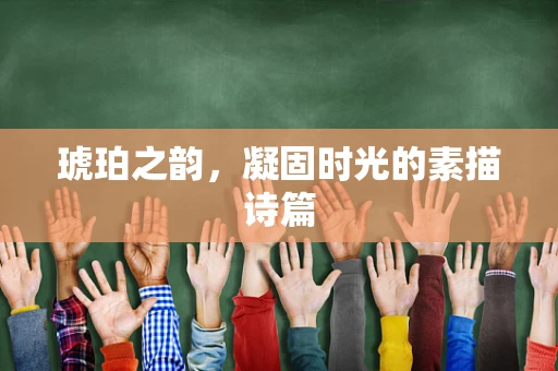 琥珀之韵，凝固时光的素描诗篇