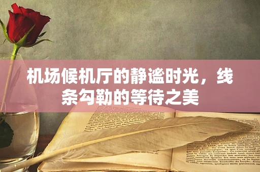 机场候机厅的静谧时光，线条勾勒的等待之美
