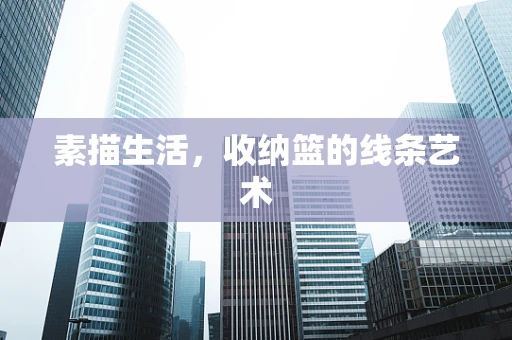 素描生活，收纳篮的线条艺术