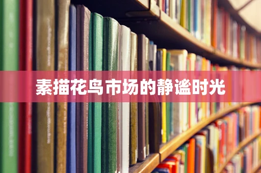 素描花鸟市场的静谧时光
