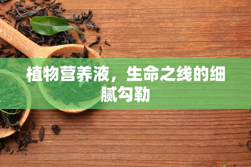 植物营养液，生命之线的细腻勾勒