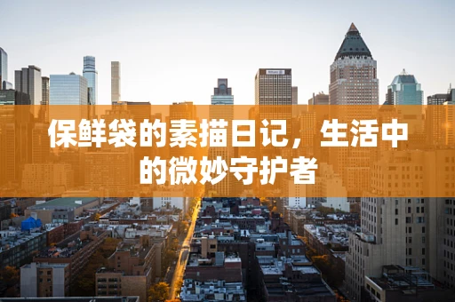 保鲜袋的素描日记，生活中的微妙守护者