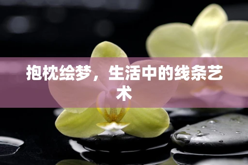 抱枕绘梦，生活中的线条艺术
