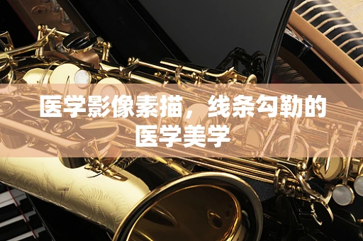 医学影像素描，线条勾勒的医学美学