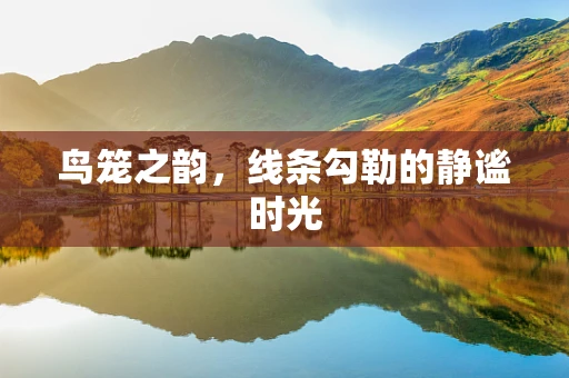 鸟笼之韵，线条勾勒的静谧时光