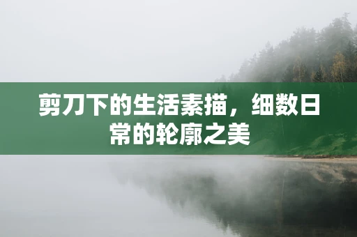 剪刀下的生活素描，细数日常的轮廓之美