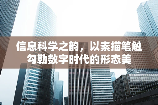 信息科学之韵，以素描笔触勾勒数字时代的形态美