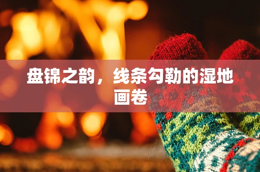 盘锦之韵，线条勾勒的湿地画卷