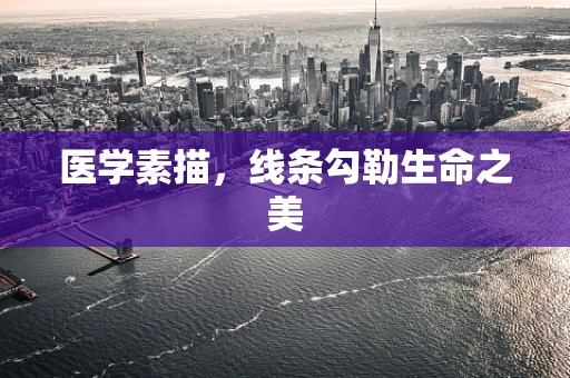 医学素描，线条勾勒生命之美