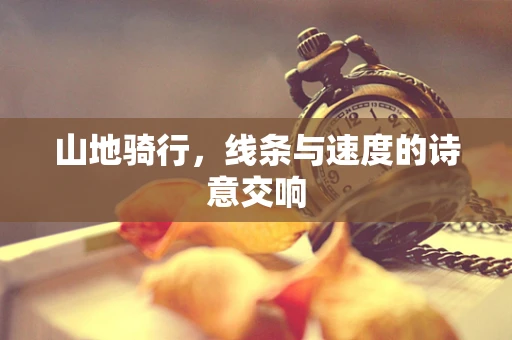 山地骑行，线条与速度的诗意交响