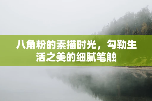 八角粉的素描时光，勾勒生活之美的细腻笔触