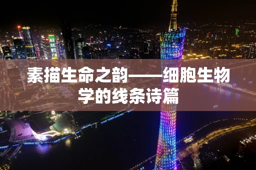 素描生命之韵——细胞生物学的线条诗篇