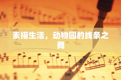 素描生活，动物园的线条之舞