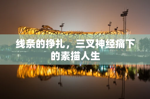 线条的挣扎，三叉神经痛下的素描人生