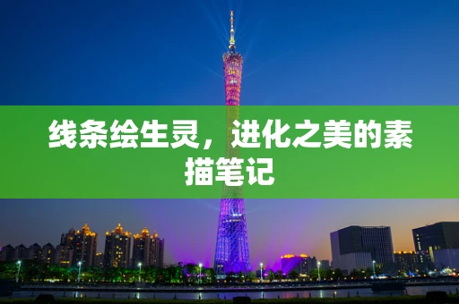 线条绘生灵，进化之美的素描笔记