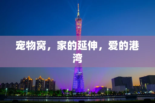 宠物窝，家的延伸，爱的港湾
