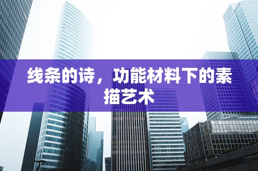 线条的诗，功能材料下的素描艺术