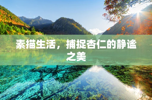 素描生活，捕捉杏仁的静谧之美