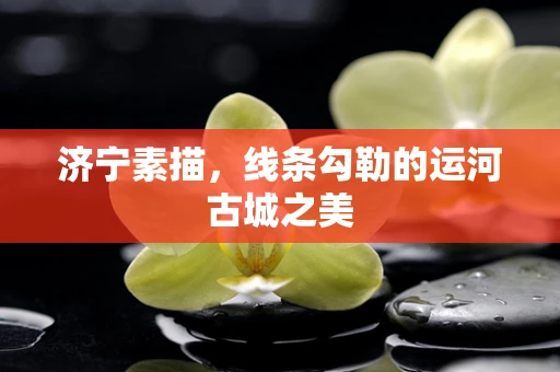 济宁素描，线条勾勒的运河古城之美