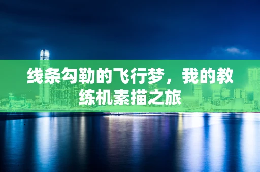 线条勾勒的飞行梦，我的教练机素描之旅