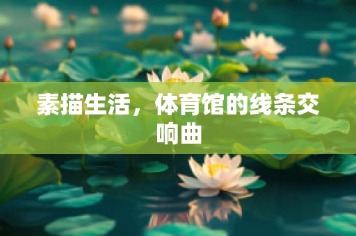 素描生活，体育馆的线条交响曲