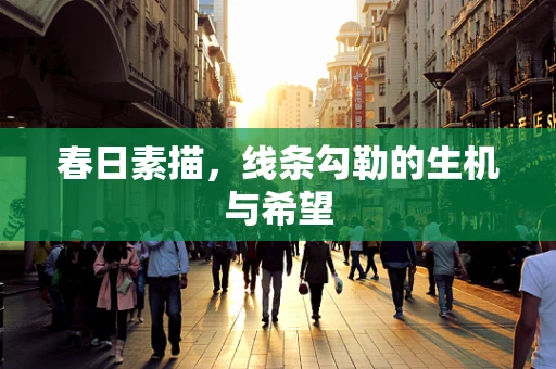 春日素描，线条勾勒的生机与希望