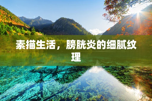 素描生活，膀胱炎的细腻纹理
