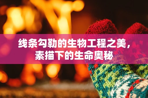 线条勾勒的生物工程之美，素描下的生命奥秘
