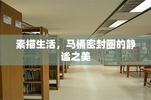 素描生活，马桶密封圈的静谧之美