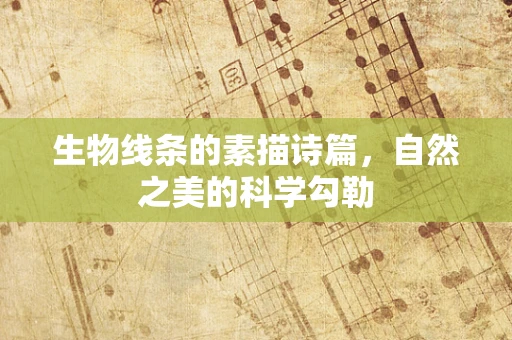 生物线条的素描诗篇，自然之美的科学勾勒