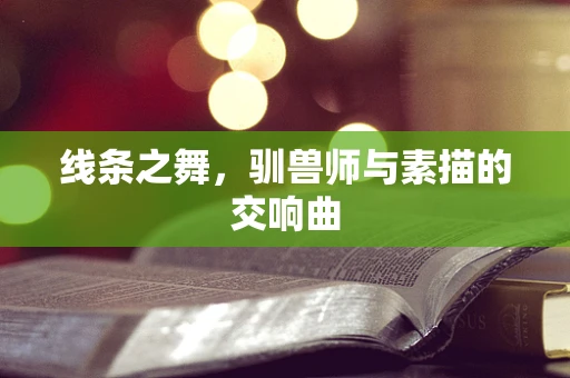 线条之舞，驯兽师与素描的交响曲