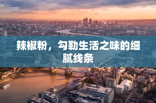 辣椒粉，勾勒生活之味的细腻线条