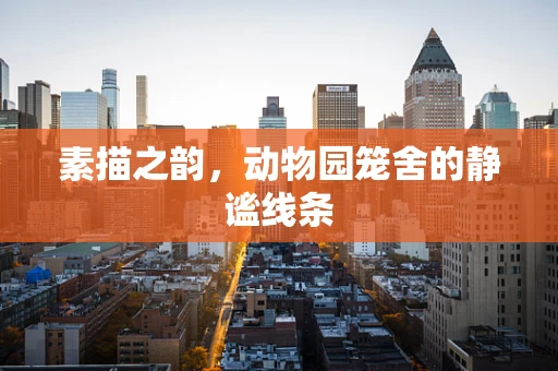 素描之韵，动物园笼舍的静谧线条