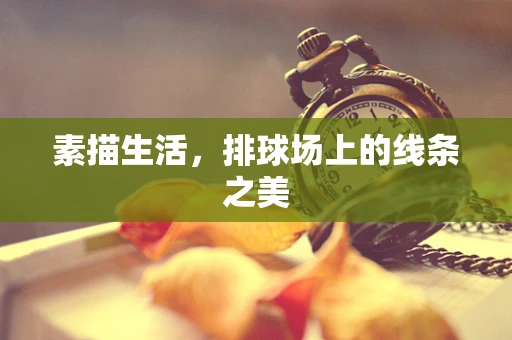 素描生活，排球场上的线条之美