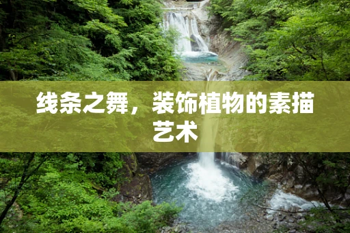 线条之舞，装饰植物的素描艺术