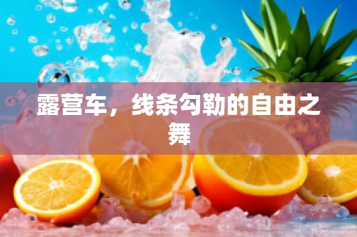 露营车，线条勾勒的自由之舞
