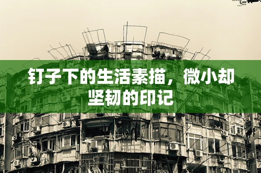 钉子下的生活素描，微小却坚韧的印记